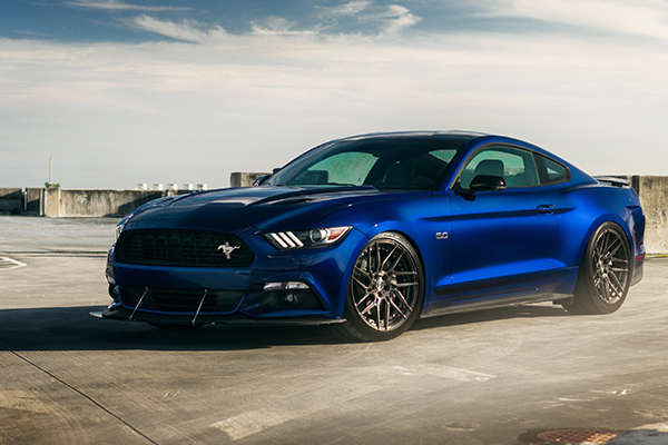 快借资金，征信审查速递